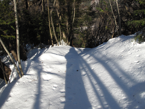 20180126hike (350)
